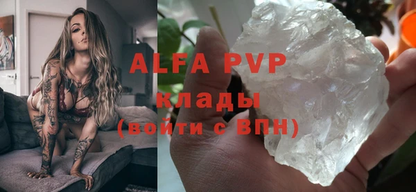 индика Тутаев