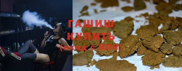 индика Тутаев