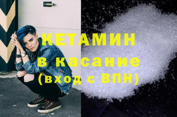 шишки Туринск