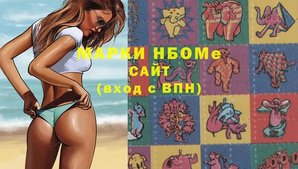 прущие грибы Усинск