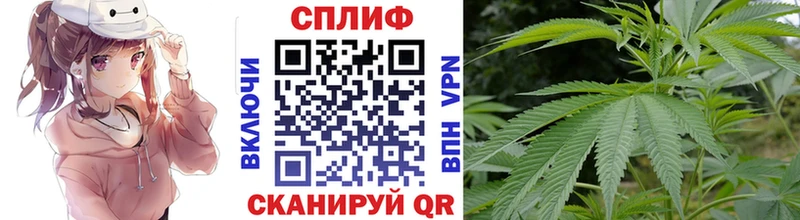 закладка  Киреевск  MEGA ссылки  Бошки Шишки тримм 